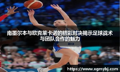 熊猫体育
