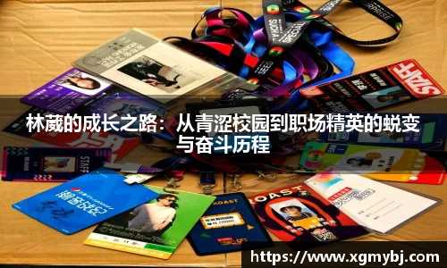 熊猫体育官网